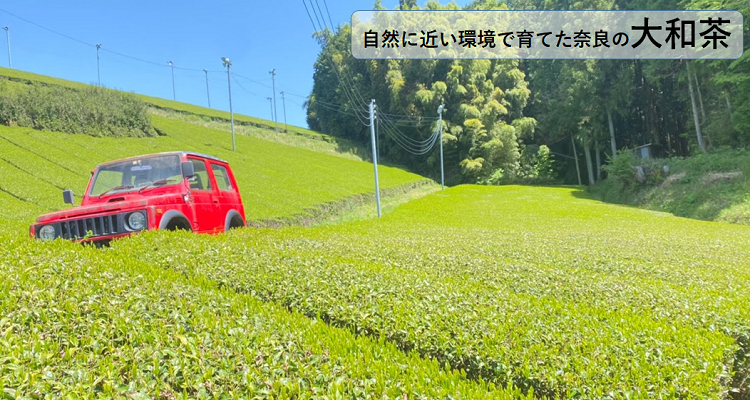 おいしい大和茶 バナー画像