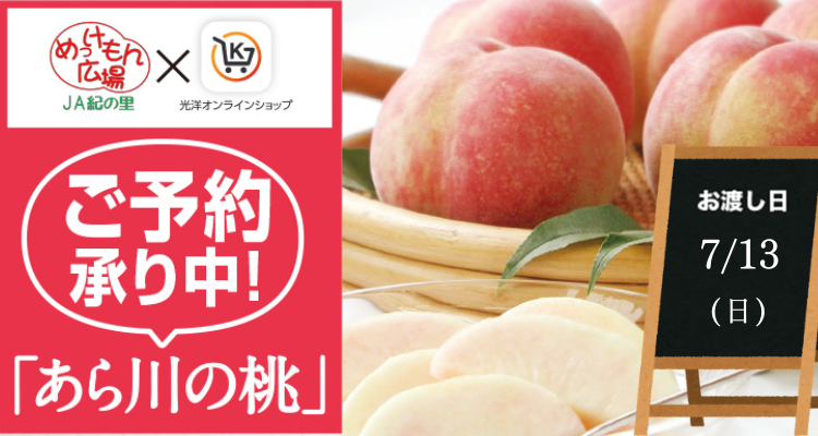 めっけもん広場(25/7/13(日)店頭お渡し) メインビジュアル画像