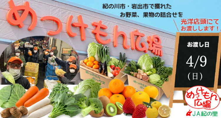 めっけもん広場(23/4/9(日)店頭お渡し) バナー画像