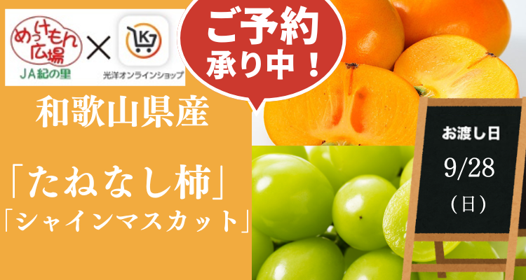 めっけもん広場(25/9/28(日)店頭お渡し) メインビジュアル画像