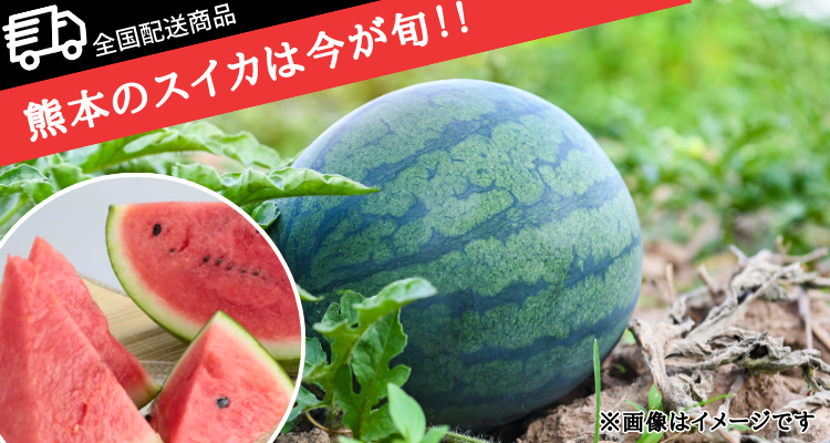 ５月が旬！熊本県産すいか(全国配送)【2025年】 メインビジュアル画像
