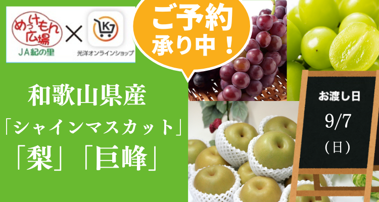 めっけもん広場(25/9/7(日)店頭お渡し) バナー画像