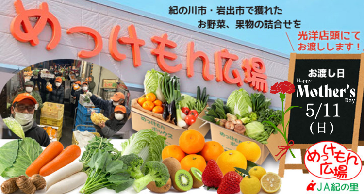 めっけもん広場(25/5/11(日)店頭お渡し) バナー画像