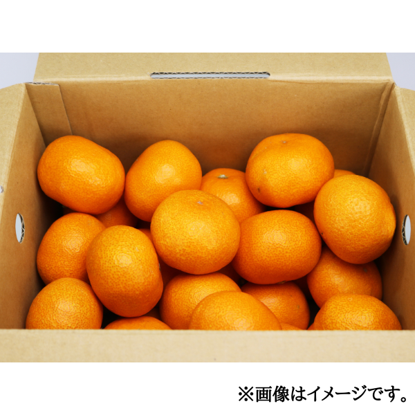 愛媛県産 中島みかん S-L 3kg箱 商品画像(1)