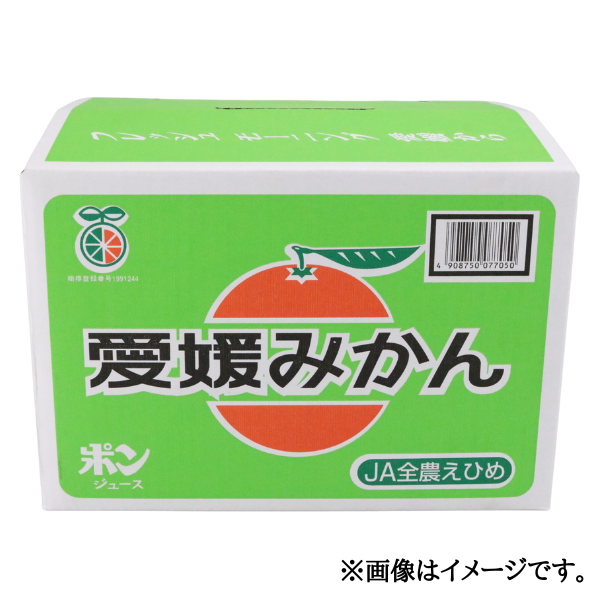 愛媛県産 中島みかん S-L 3kg箱 商品画像(2)