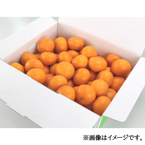 愛媛県産 中島みかん S-L 5kg箱 商品画像(1)