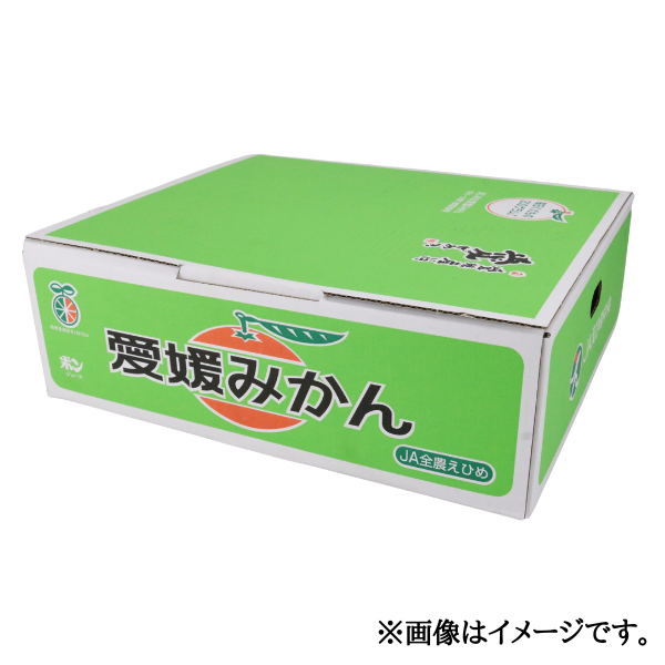 愛媛県産 中島みかん S-L 5kg箱 商品画像(2)