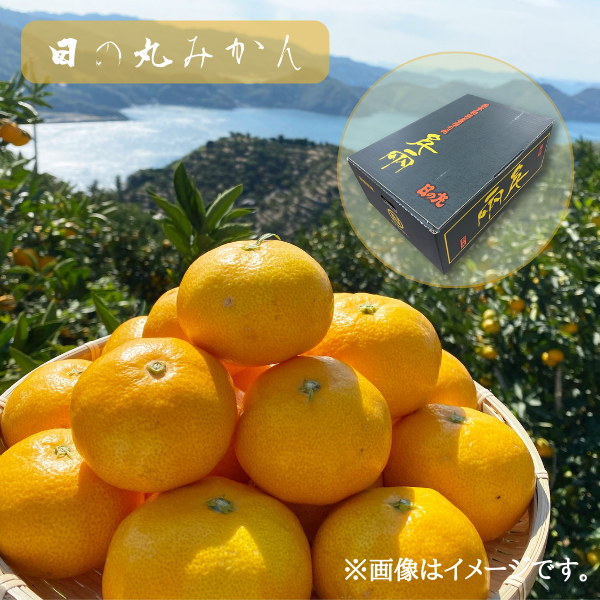 日の丸みかん 商品サムネイル