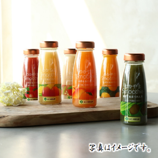 果実＆野菜のわかやまスムージー 6本セット 商品サムネイル