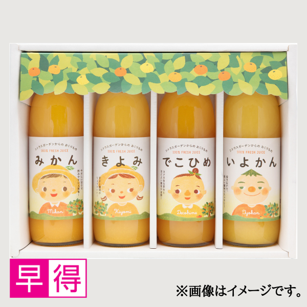 【早得】シトラス・ガーデン4本セット(きよみ・いよかん・温州・でこひめ) 商品サムネイル