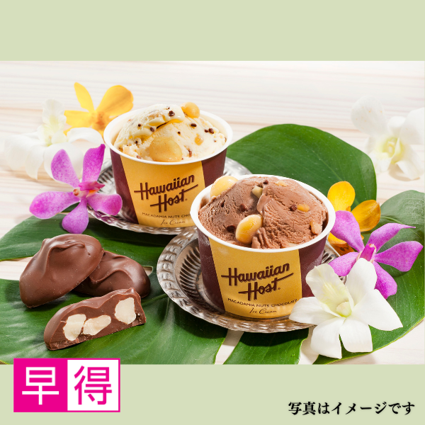 【早得】ハワイアンホースト マカデミアナッツチョコアイスギフト(AH-HH5) 商品サムネイル