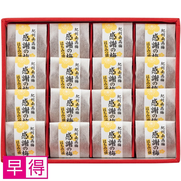 【早得】南紀梅干 感謝の梅はちみつ漬16粒【父の日】 商品サムネイル