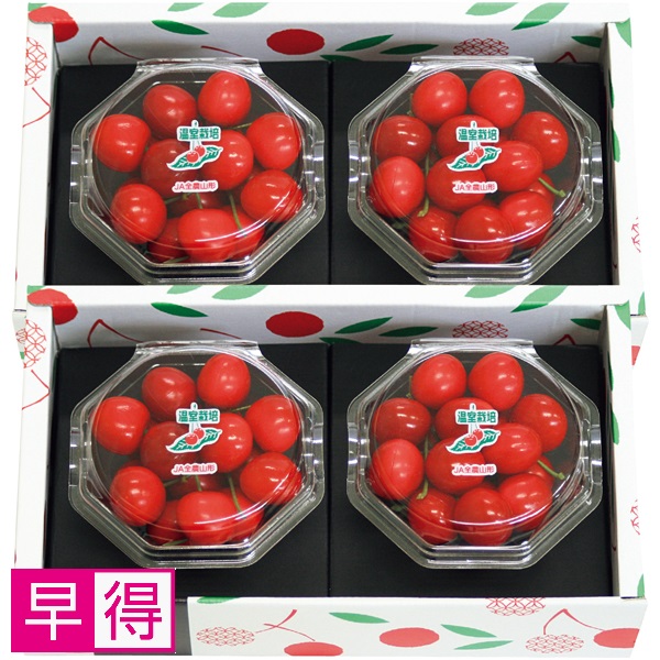 【早得】山形県産 さくらんぼ佐藤錦【父の日】 商品サムネイル