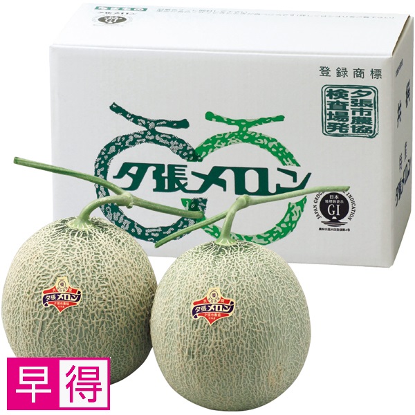 【早得】北海道夕張市産（JA夕張市） 夕張メロン 優品2L2個 商品サムネイル