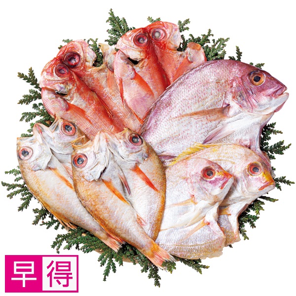 【早得】輪島 西脇水産 のどぐろ開きと干物セット 商品サムネイル