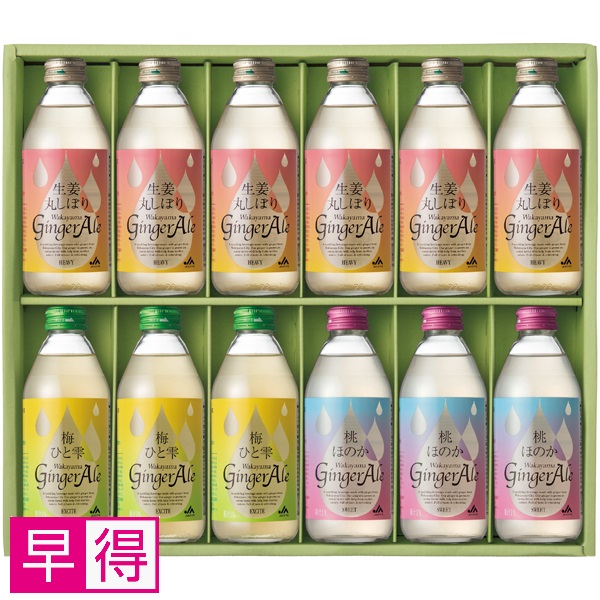 【早得】和歌山県農業協同組合 わかやまジンジャーエール アソートギフト 商品サムネイル