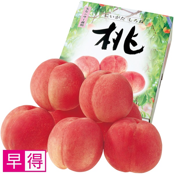 【早得】新潟県産（JA新潟かがやき） フルーツフラワーしろねのもも 商品サムネイル