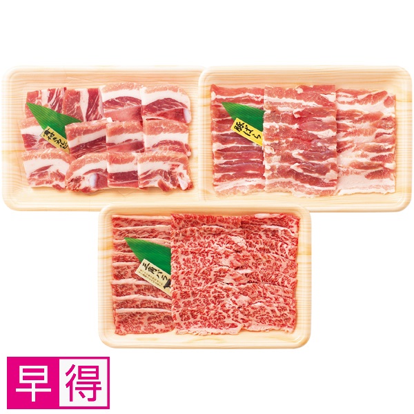 【早得】トップバリュ グリーンアイナチュラル ナチュラルポーク＆タスマニアビーフ 焼肉食べくらべセット 商品サムネイル