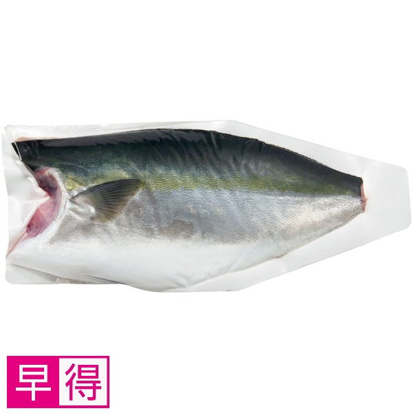 【早得】トップバリュ 鹿児島県産活〆はまち（養殖）フィーレ1枚入り 商品サムネイル
