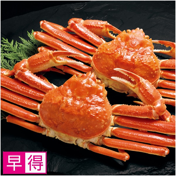 【早得】カナダ産 ゆでずわいがに姿2尾（1.1kg） 商品サムネイル