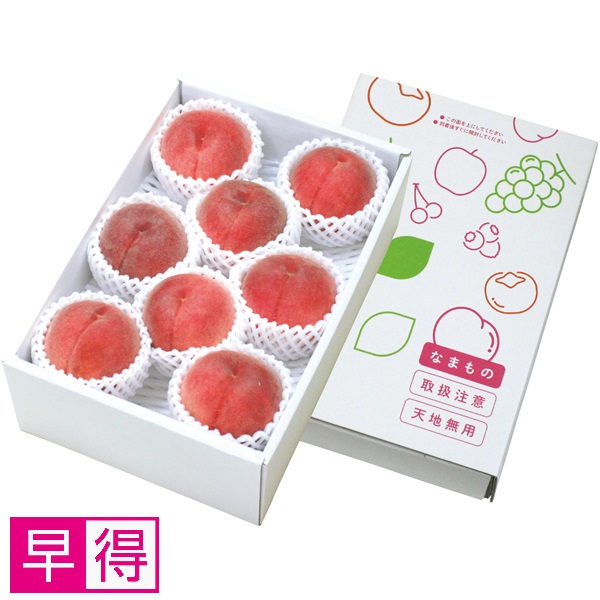 【早得】福島県産（飯坂） 若手生産者、木村さんたちの自慢の白桃 商品サムネイル