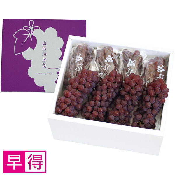 【早得】山形県産 デラウェア 商品サムネイル
