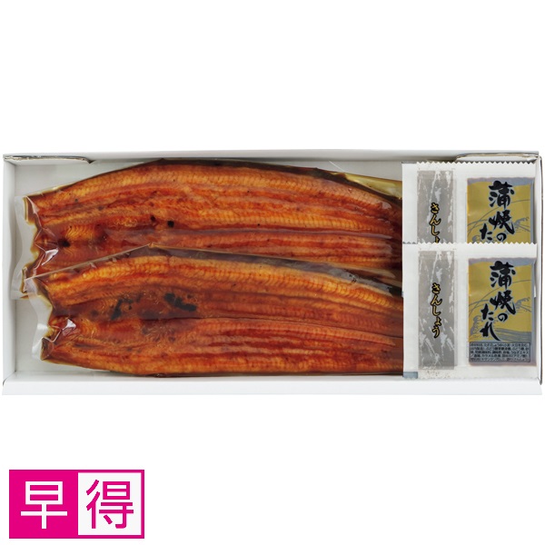 【早得】静岡県浜名湖産 うなぎ蒲焼2尾 商品サムネイル