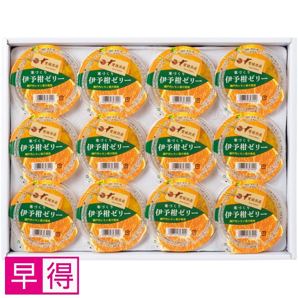 【早得】えひめ中央農協 寒づくり伊予柑ゼリー 商品サムネイル