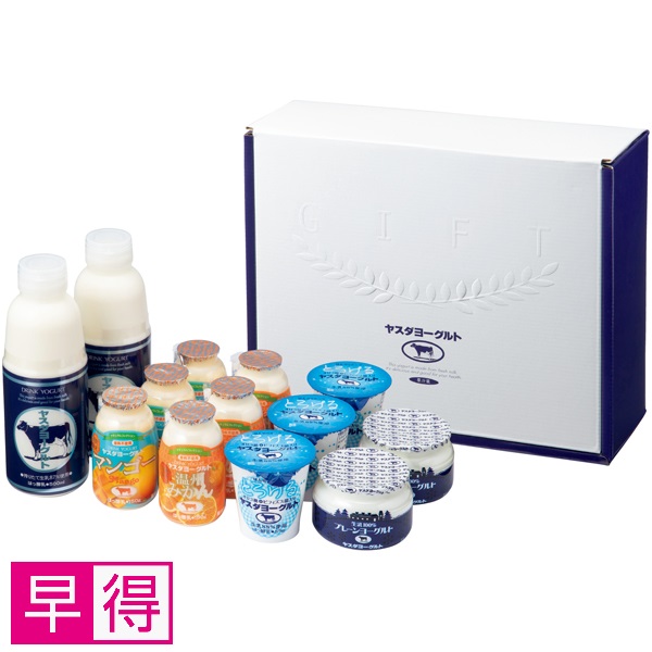 【早得】ヤスダヨーグルト ヤスダヨーグルトギフト 商品サムネイル