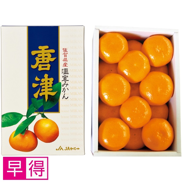 【早得】佐賀県産（JA唐津） ハウスみかん 商品サムネイル