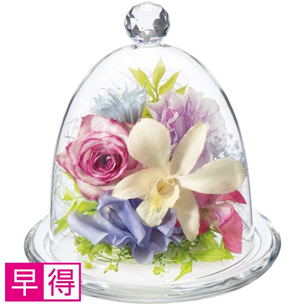 【早得】Luna ジュエルフラワー「サマーミュゼ」 商品サムネイル
