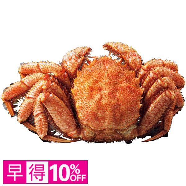 【早得】北海道オホーツク海産 ボイル毛がに姿1尾（大） 商品サムネイル