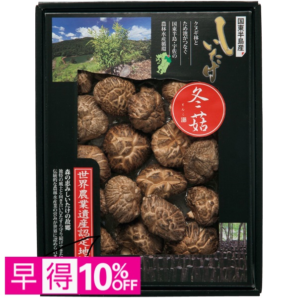 【早得】大分乾物 大分県国東半島産 どんこ椎茸 商品サムネイル