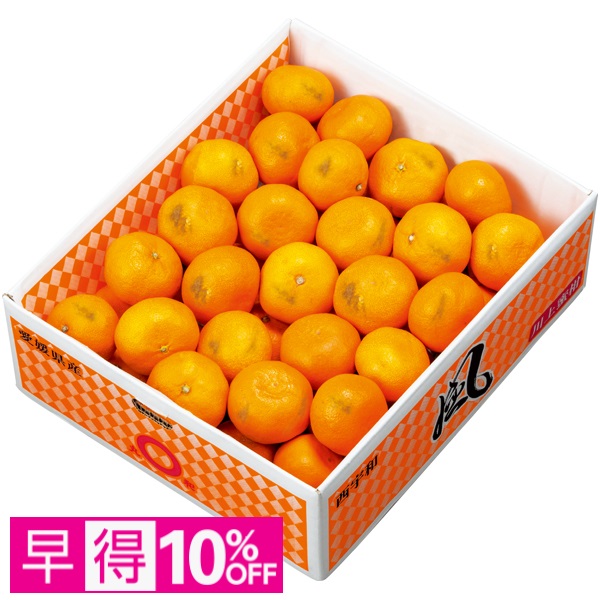【早得】愛媛県産（JAにしうわ川上共選） 風みかん（自宅用） 商品サムネイル