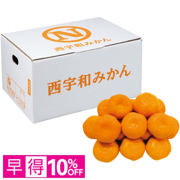 【早得】愛媛県産（JA西宇和みつる共選） みつるみかん 白箱 商品サムネイル