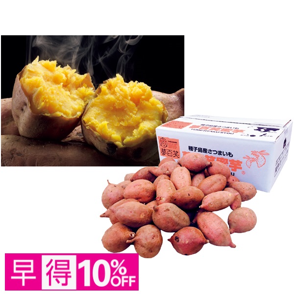 【早得】鹿児島県産 種子島 夢百姓安納芋小粒3kg（自宅用） 商品サムネイル