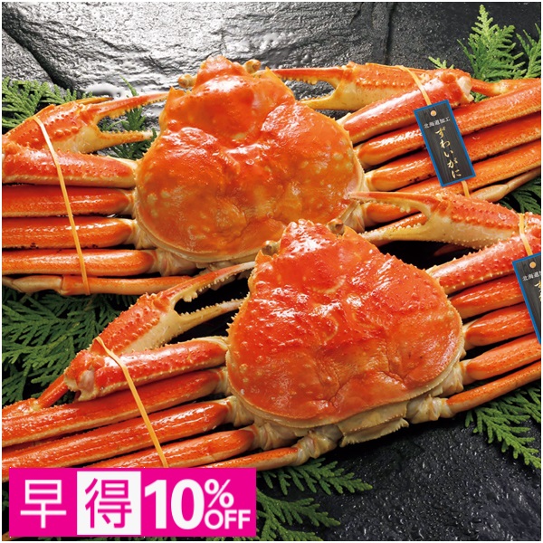 【早得】エスケイフーズ 北海道加工ボイルずわいがに姿2尾 商品サムネイル