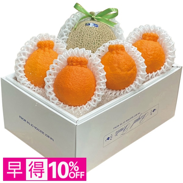 【早得】高知県産・熊本県産 アールスメロン＆デコポン 商品サムネイル