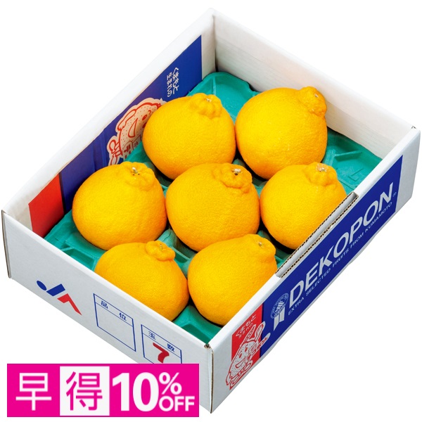 【早得】熊本県産 デコポン 商品サムネイル