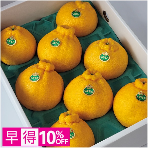 【早得】熊本県産 デコポン 商品サムネイル