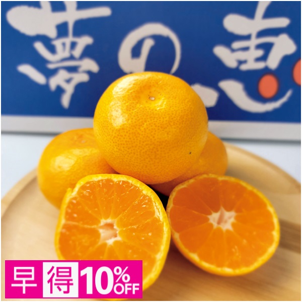【早得】熊本県産 夢未来みかん 夢の恵 商品サムネイル