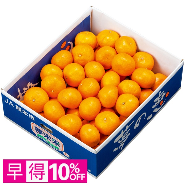 【早得】熊本県産 夢未来みかん 夢の恵 商品サムネイル