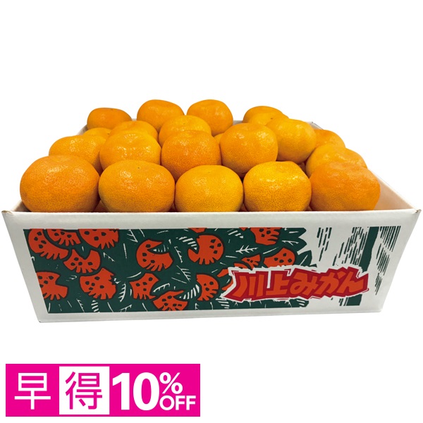 【早得】愛媛県産（JAにしうわ川上共選） 川上みかん（大粒・自宅用） 商品サムネイル