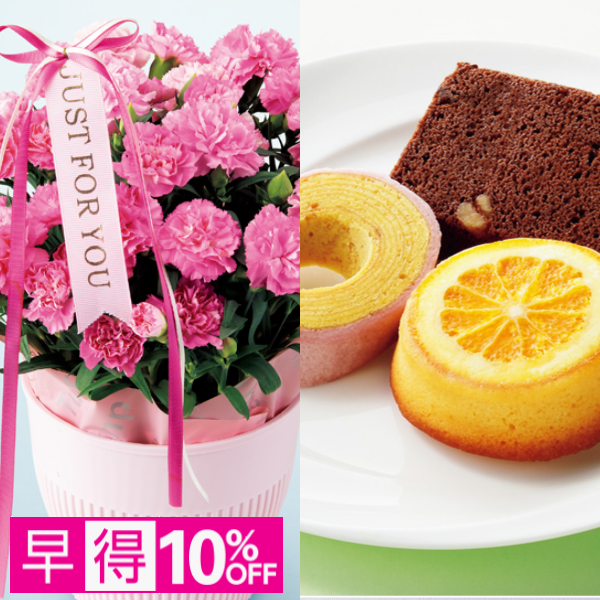 【早得】アサミグリーンプランツカーネーション「ホットハート」（SUSTEE付）＋神戸スイーツポテト母の日焼き菓子セット【母の日】 商品サムネイル