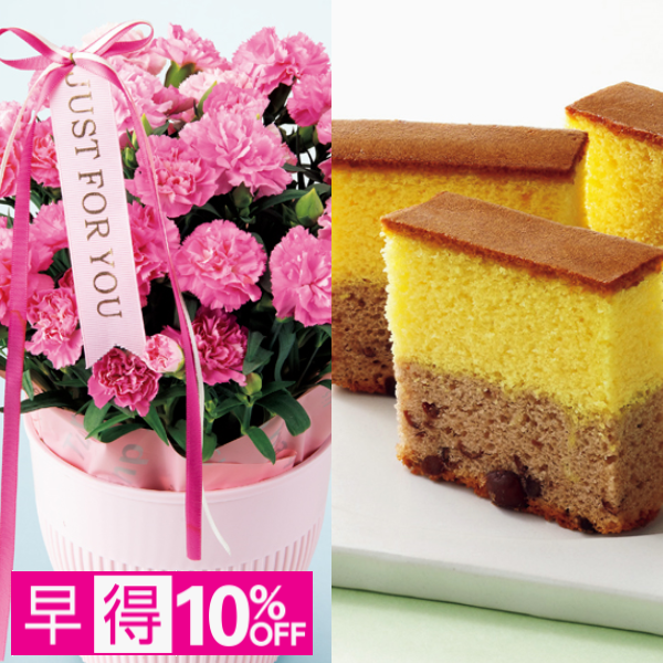 【早得】アサミグリーンプランツ カーネーション「ホットハート」（SUSTEE付）＋和泉屋 カステラ「綺麗菓」【母の日】 商品サムネイル