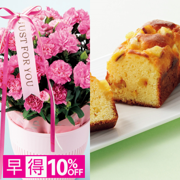 【早得】アサミグリーンプランツ カーネーション「ホットハート」（SUSTEE付）＋東京堂 芋パウンドケーキ【母の日】 商品サムネイル