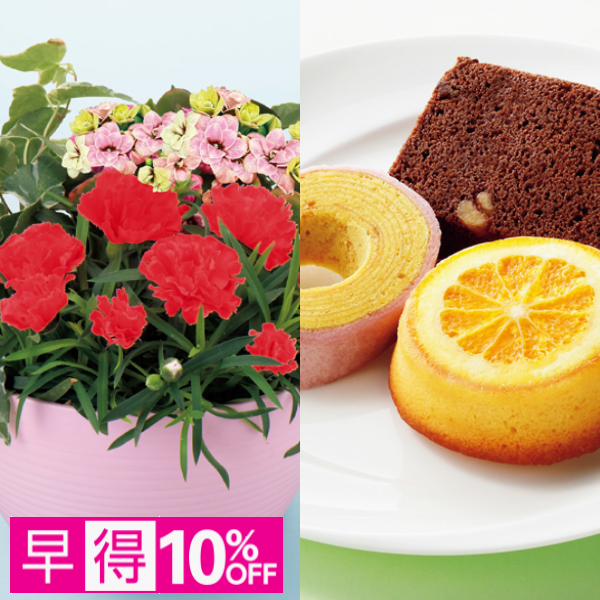 【早得】アサミグリーンプランツ カーネーションの寄せ植え（SUSTEE付）＋神戸スイーツポート 母の日焼き菓子セット【母の日】 商品サムネイル