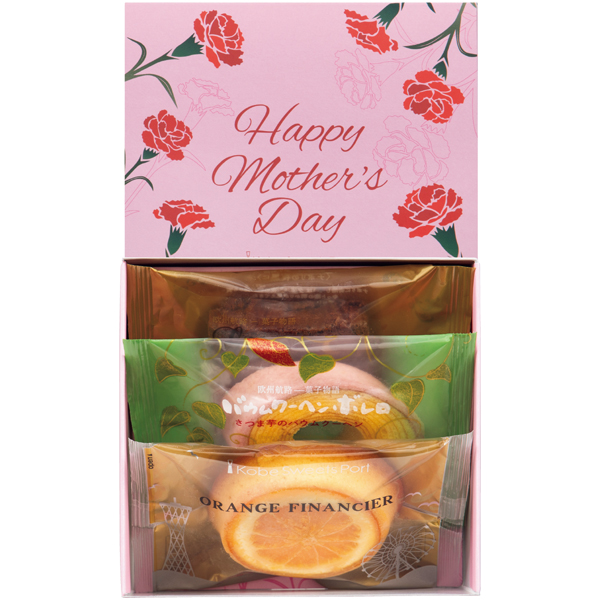 【早得】アサミグリーンプランツ カーネーションの寄せ植え(SUSTEE付)+神戸スイーツポート 母の日焼き菓子セット【母の日】 商品画像(1)