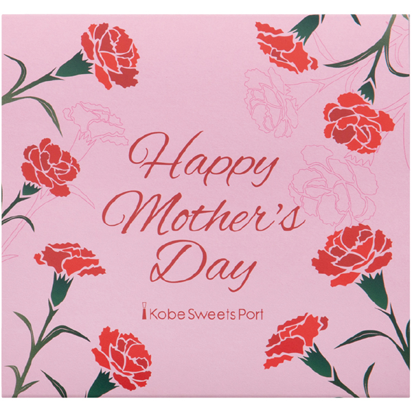 【早得】アサミグリーンプランツ カーネーションの寄せ植え(SUSTEE付)+神戸スイーツポート 母の日焼き菓子セット【母の日】 商品画像(5)