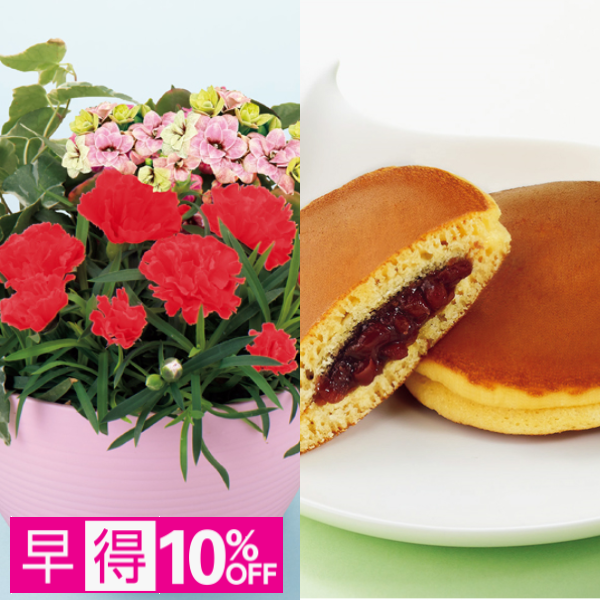 【早得】アサミグリーンプランツ カーネーションの寄せ植え（SUSTEE付）＋文明堂 月三笠2個入【母の日】 商品サムネイル